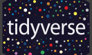 Tidyverse Training in Kuwait